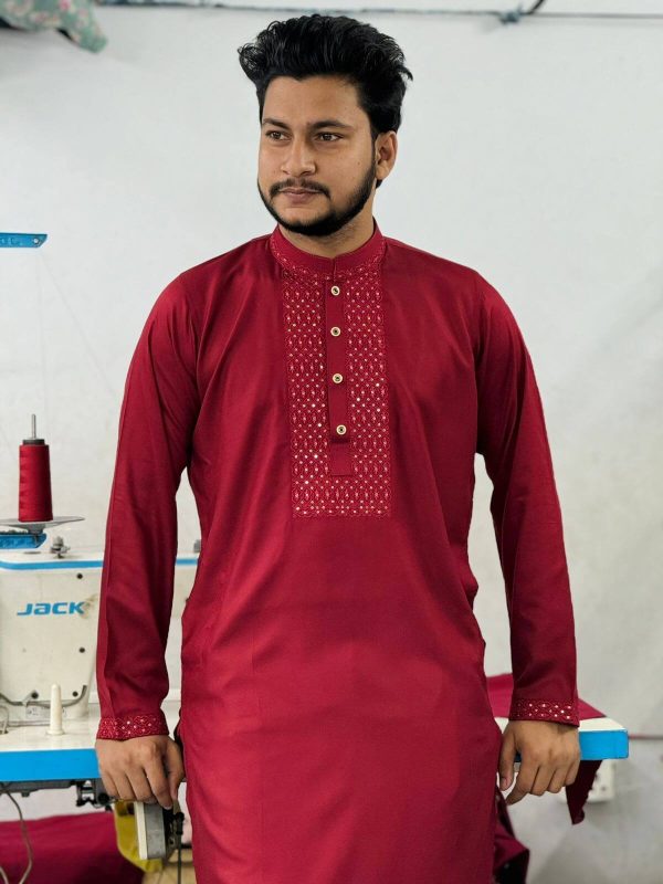 Sequence Embroidery Panjabi - Image 2
