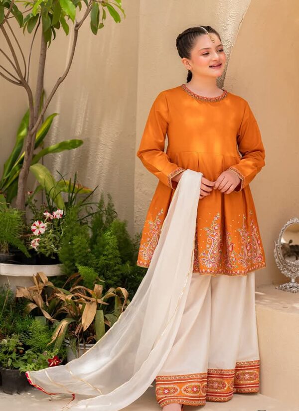 Diamond Georgette Three Piece