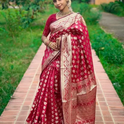 Combo sari